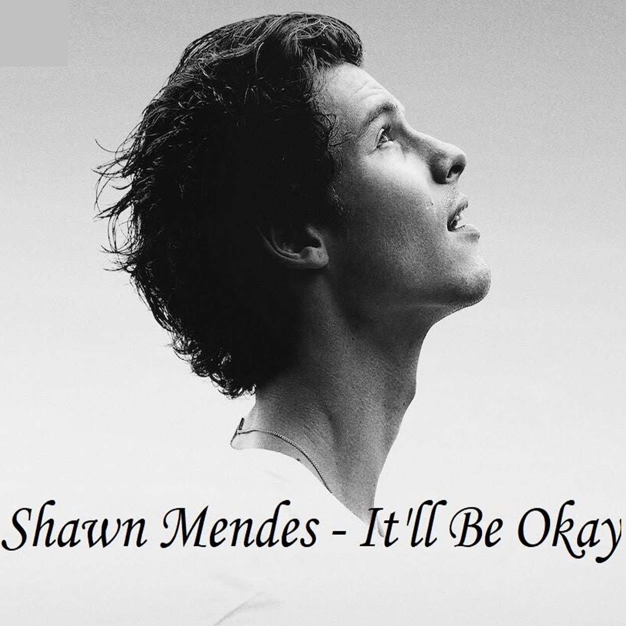 دانلود آهنگ Shawn Mendes It’ll Be Okay
